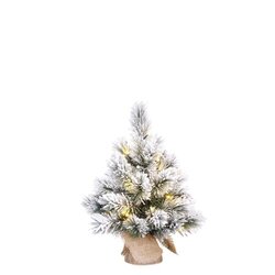 BLACK BOX TREES Kerstboom dinsmore d23h45cm groen