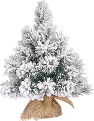 BLACK BOX TREES Kerstboom dinsmore d50h60cm groen