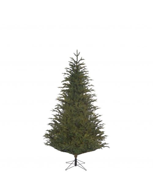 Black Box Trees Frasier kerstboom groen TIPS 1880 - h185xd124cm