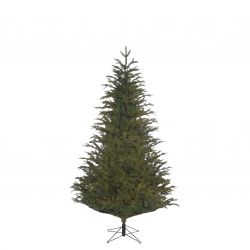 Black Box Trees Frasier kerstboom groen TIPS 1880 - h185xd124cm