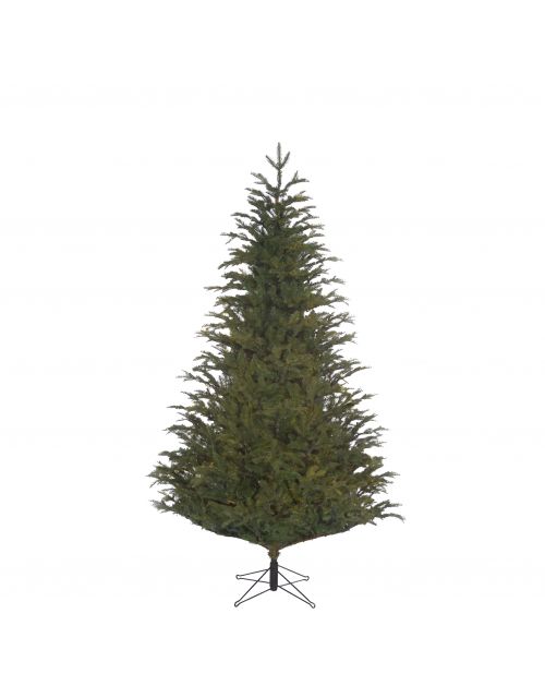 Black Box Trees Frasier kerstboom groen TIPS 2688 - h215xd145cm