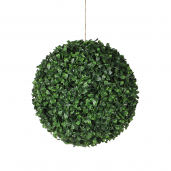 Buxus Bol Hangend Groen - D14Cm