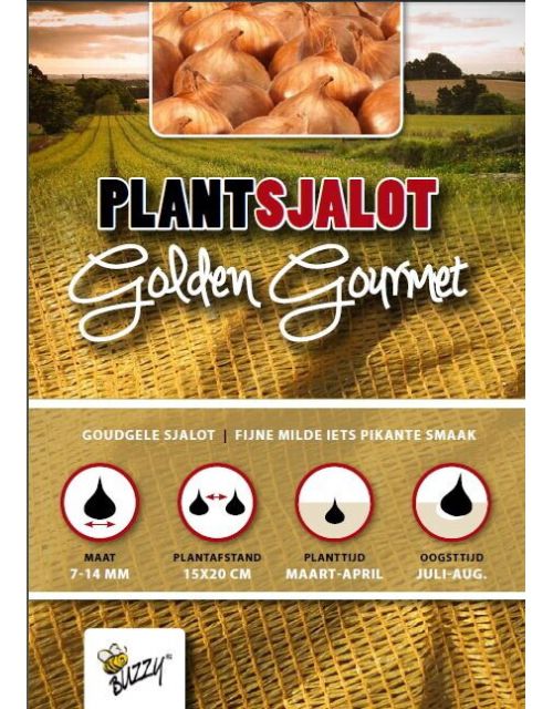 Buzzy  Plantsjalotten Golden Gourmet 250g