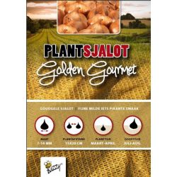 Buzzy  Plantsjalotten Golden Gourmet 250g