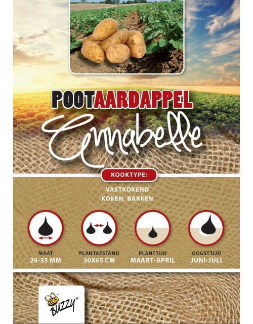 Buzzy  Pootaardappel Annabelle 1kg - afbeelding 1