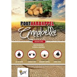 Buzzy  Pootaardappel Annabelle 1kg - afbeelding 1