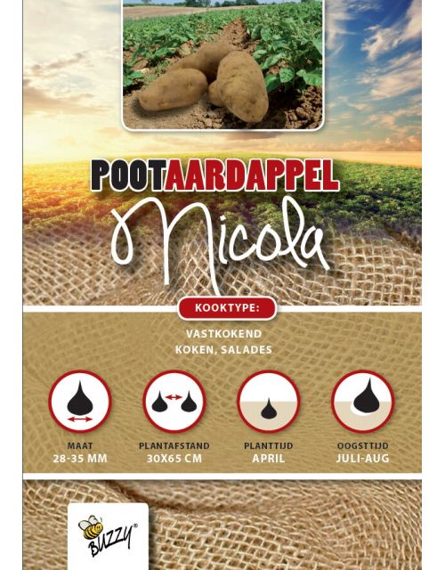 Buzzy  Pootaardappel Nicola 1kg - afbeelding 1