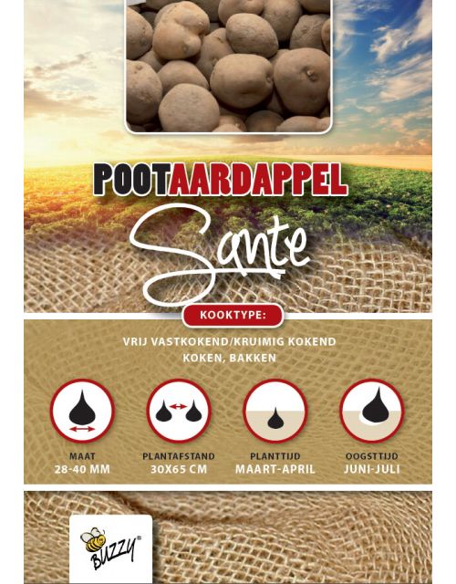 Buzzy  Pootaardappel Sante 1kg