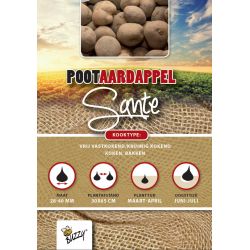 Buzzy  Pootaardappel Sante 1kg