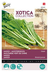 Buzzy® Xotica Groene Amsoi of mosterdkool - afbeelding 1