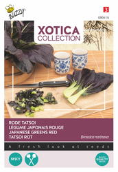 Buzzy® Xotica Rode Tatsoi - afbeelding 1