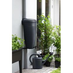 elho Green Basics Rain Catcher 35ltr Living black