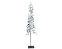 Everlands Alpine fir snowy 300 cm 