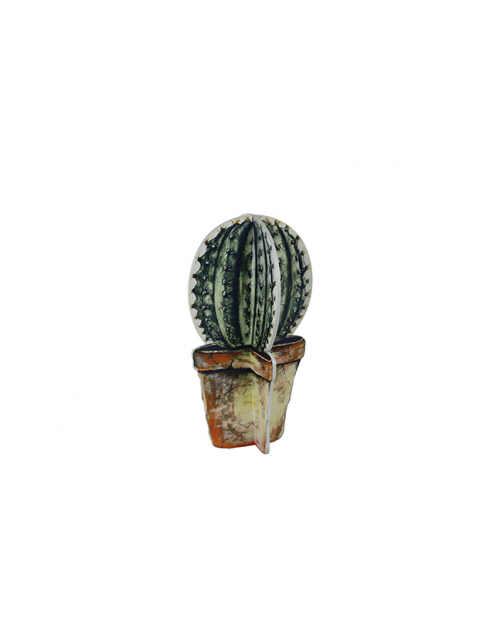 TS figuur bolcactus Deco Meerkleurig 17x17x30 cm