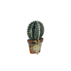 TS figuur bolcactus Deco Meerkleurig 17x17x30 cm