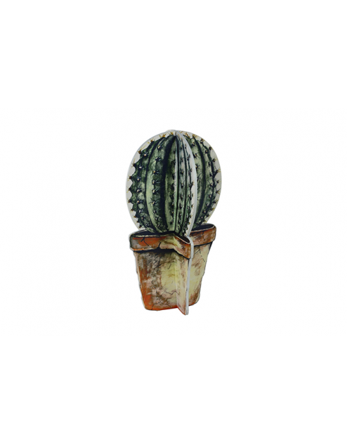 TS figuur bolcactus Deco Meerkleurig 22x22x40 cm