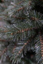 Triumph Tree Forest frosted kerstboom newgrowth blue TIPS 1248 - h215xd140cm - afbeelding 1