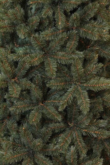 Triumph Tree Forest frosted kerstboom newgrowth blue TIPS 1536 - h230xd157cm - afbeelding 1