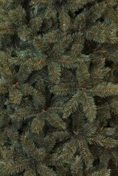 Triumph Tree Forest frosted kerstboom newgrowth blue TIPS 1536 - h230xd157cm - afbeelding 1