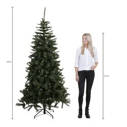 Triumph Tree Forest frosted pine kerstboom groen TIPS 1536 - h230xd157cm - afbeelding 3