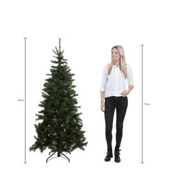 Triumph Tree Forest frosted pine kerstboom groen TIPS 942 - h185xd130cm - afbeelding 3