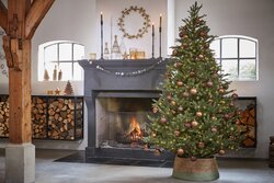 Black Box Trees Frasier kerstboom led groen 288L TIPS 1880 - h185xd124cm - afbeelding 3