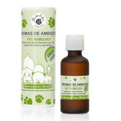 Geurolie pet 50ml morning dawn