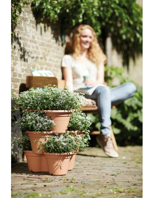 elho green basics verticaal tuinieren 46cm mild terra - afbeelding 1