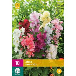 JUB Alcea Rosea Mix 1 stuk