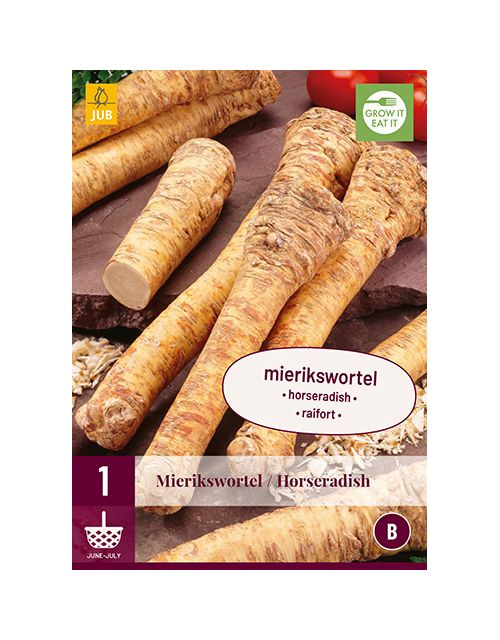 JUB Armoracia Rusticana - Mierikswortel 1 stuk