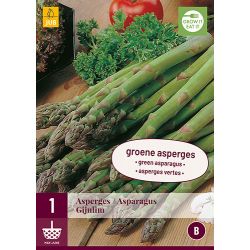 JUB Asparagus Gijnlim 1 stuk