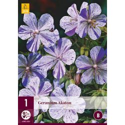 JUB Geranium Akaton 1 stuk