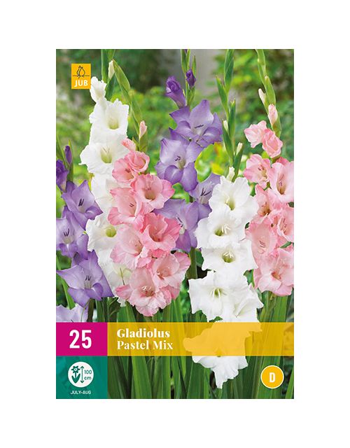 JUB Gladiolus Pastel Mix 2 stuks