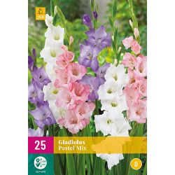 JUB Gladiolus Pastel Mix 2 stuks