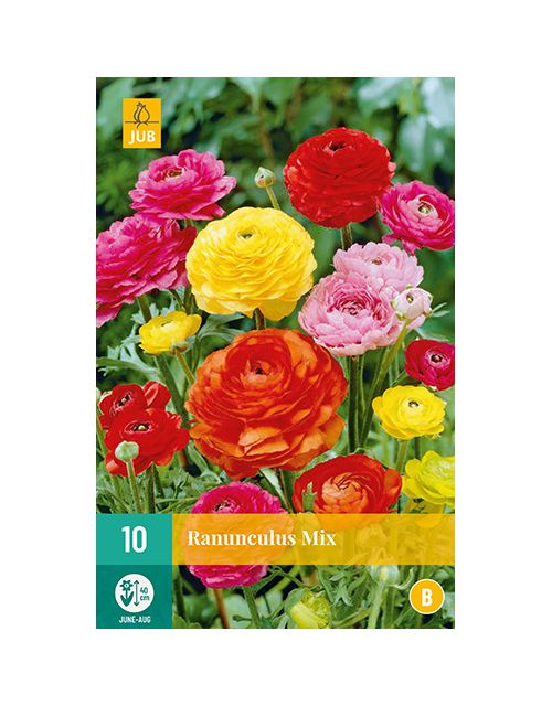 JUB Ranunculus Mix 1 stuk