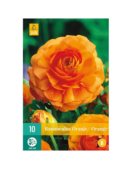 JUB Ranunculus Oranje 1 stuk