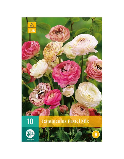 JUB Ranunculus Pastel Mix 1 stuk