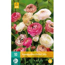 JUB Ranunculus Pastel Mix 1 stuk