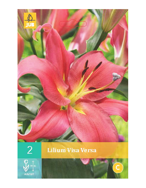 Lilium Visa Versa