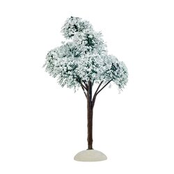 Luville Mountain pine - h16xd9cm