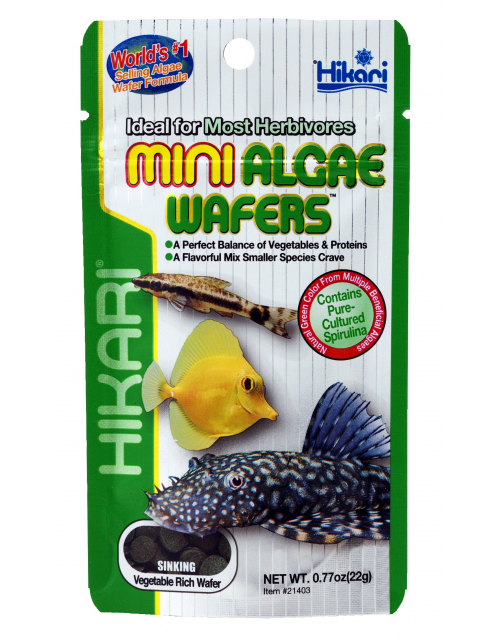 Mini Algae Wafers 1 Kg