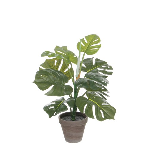 Mica Monstera groen in pot Stan grijs