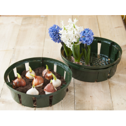 Nature - Bollenplantmand - H7 x Ø22cm - 3 stuks - afbeelding 3