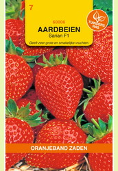 OBZ Aardbeien Grandian (vh Sarian) F1 - afbeelding 1