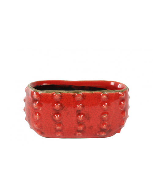 TS plantenbak Cactus Rood 16x8x7 cm