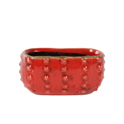 TS plantenbak Cactus Rood 16x8x7 cm