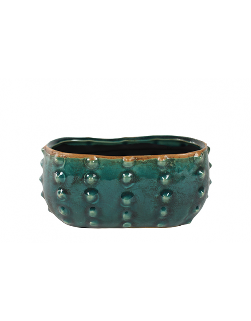 TS plantenbak Cactus Turquoise 16x8x7 cm