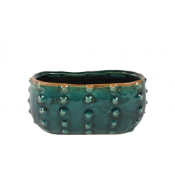 TS plantenbak Cactus Turquoise 16x8x7 cm