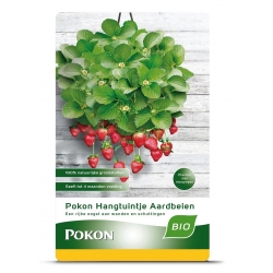 Pokon Hangtuintje Terras & Balkon  10l