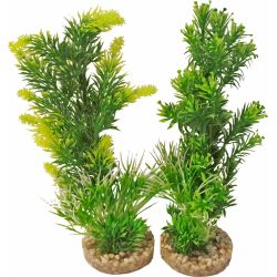 Aquarium plant medium 